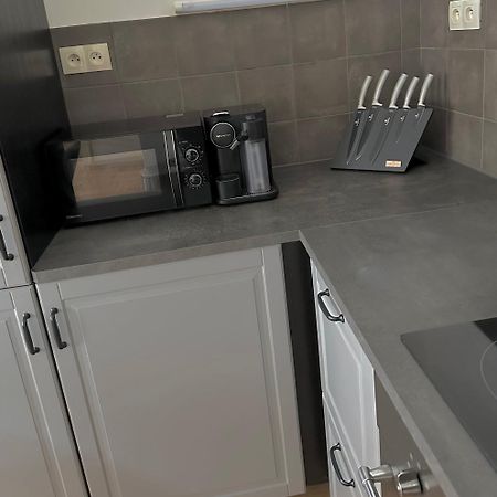 Byt Ve Meste Praha 2 エクステリア 写真